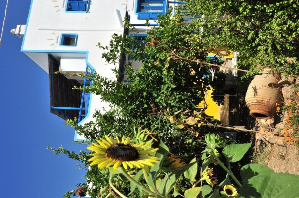 Pension Titika Κατάπολα Εξωτερικό φωτογραφία